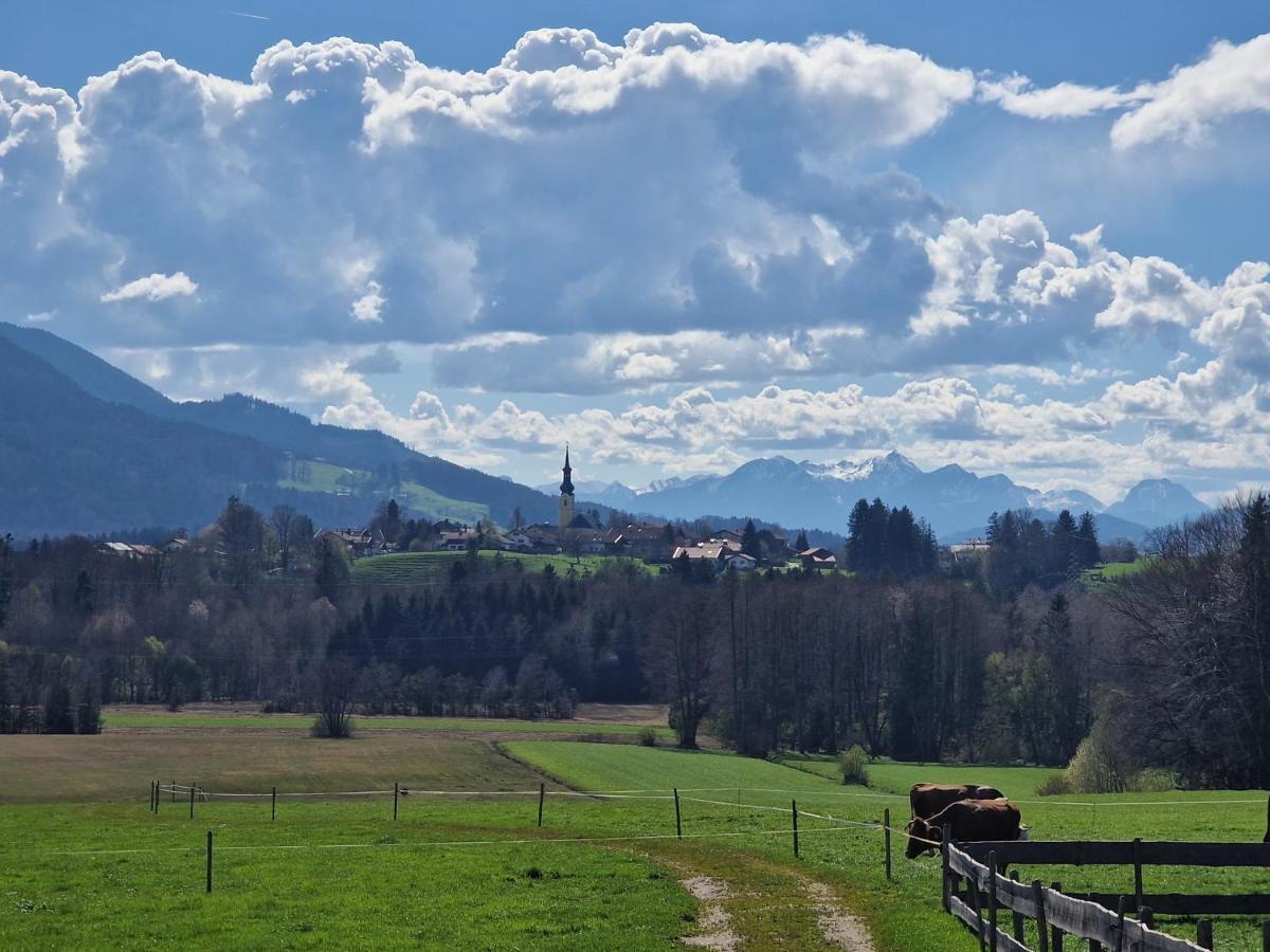 Seeberghof Hotel Фрасдорф Екстериор снимка